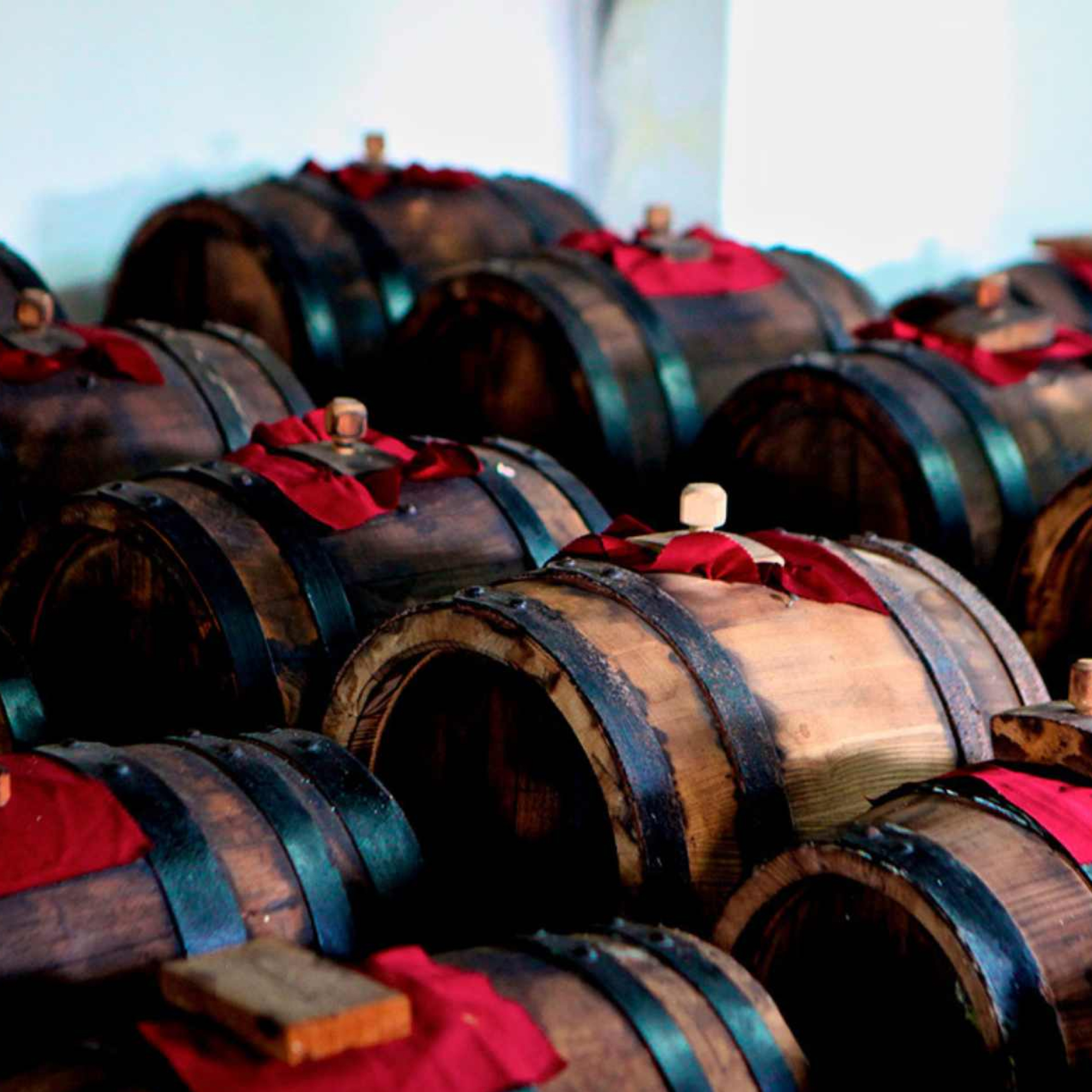 Silver Organic Balsamic Vinegar de Modena IGP - Guerzoni